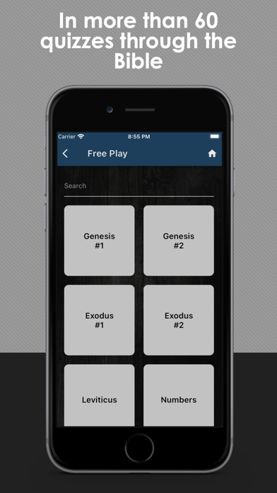 Discover the Bible - the Quiz Screenshot