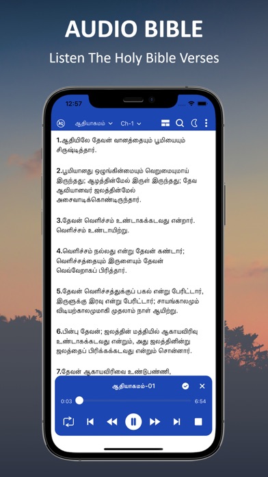 Holy Tamil Audio Bible mp3 Screenshot
