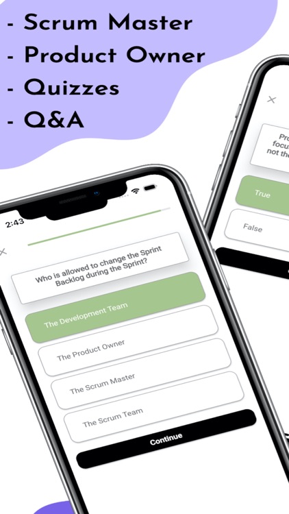 Scrum Certification Tests