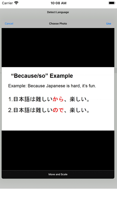 Screenshot #2 pour Detect Language