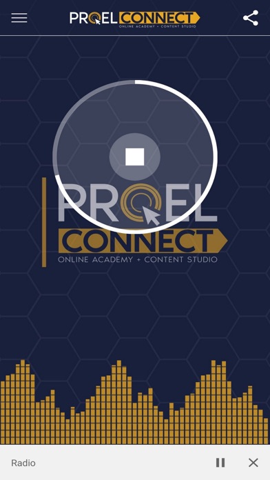 PROEL CONNECT Screenshot