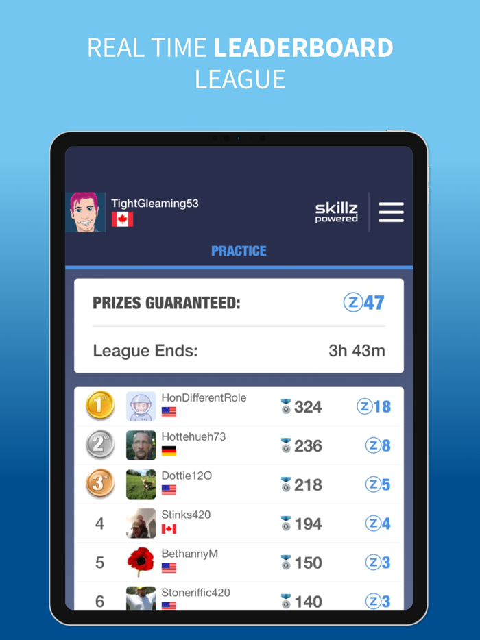 Skee Ball Hop Arcade Game