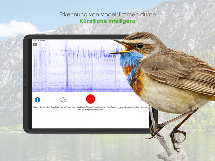 Vögel in Österreich