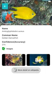 fish id - fish identifier iphone screenshot 2