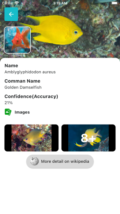 Screenshot #2 pour Fish ID - Fish Identifier