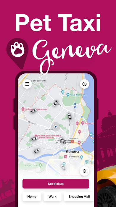Pcab: Pet Taxi Geneva Screenshot