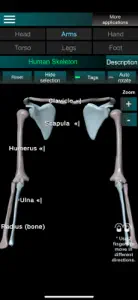 Bones 3D (Anatomy) screenshot #4 for iPhone