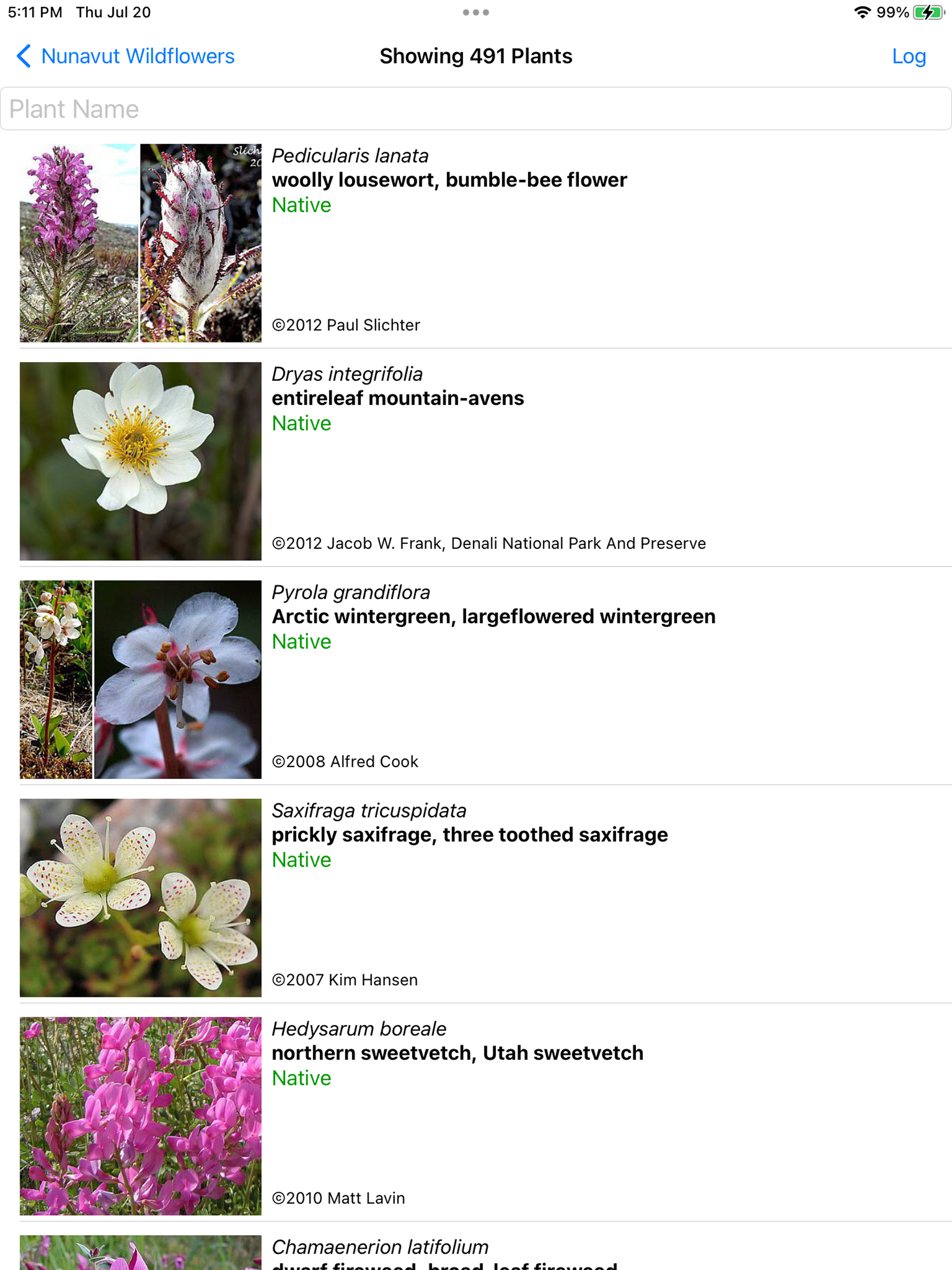 Nunavut Wildflowers