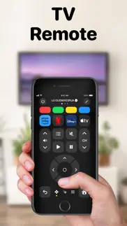 tv remote +ㅤ iphone screenshot 1