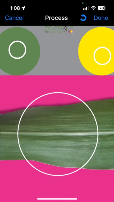 FieldScout GreenIndex+ Screenshot
