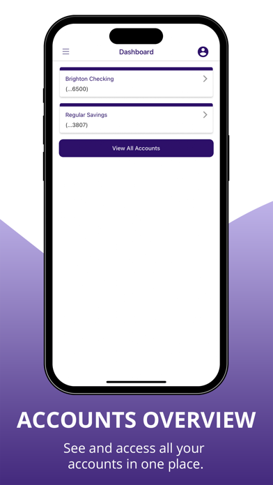 Brighton Bank Business Screenshot