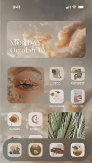 aesthetic: app icons & widgets iphone screenshot 2