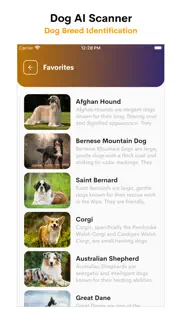 dog ai scanner and identifier problems & solutions and troubleshooting guide - 1