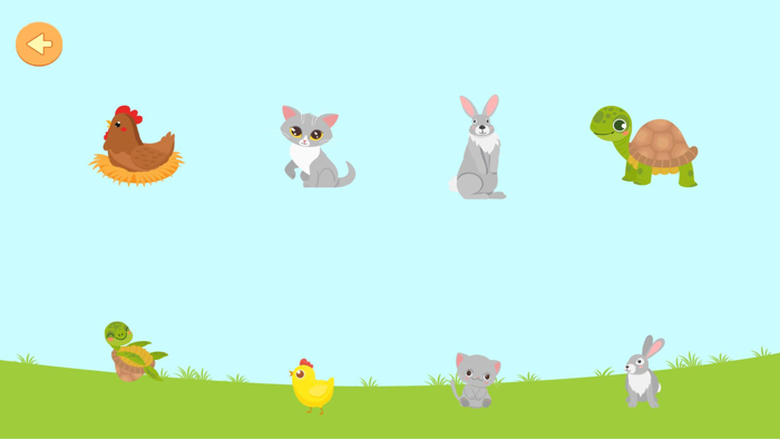 Hayvanları Öğreniyorum 4 Yaş