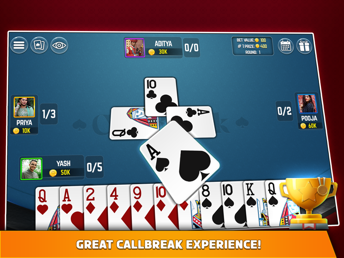 Callbreak - Offline Card Games