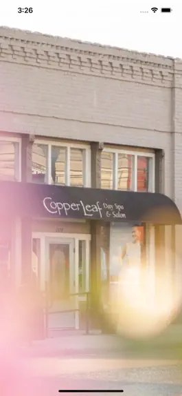 Game screenshot CopperLeaf Day Spa & Salon mod apk