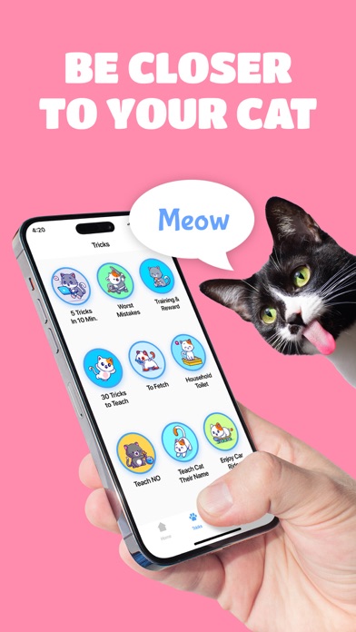 Cat Training ? Human & meow Screenshot