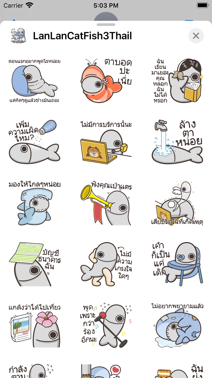 Lan Lan Cat ThatFish3 （Thail）