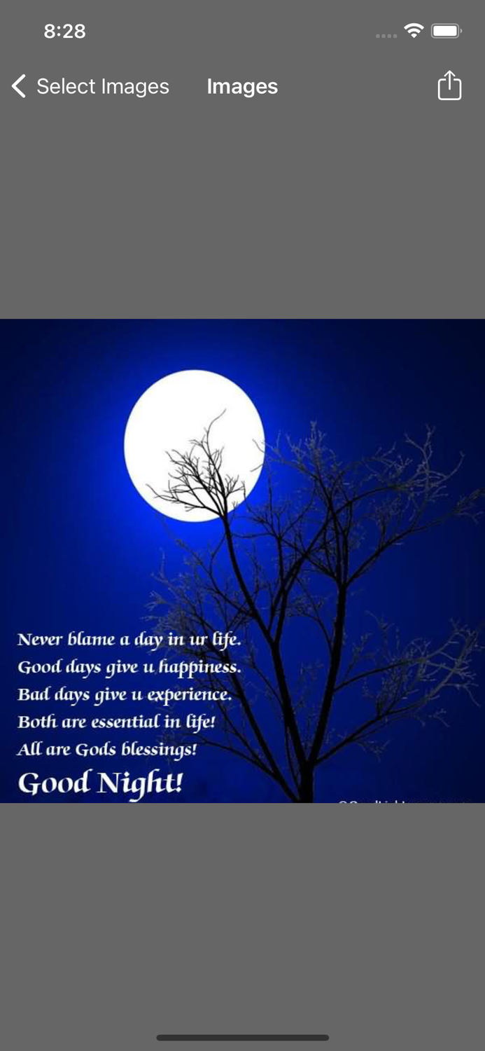 Good Night Greetings and Sms