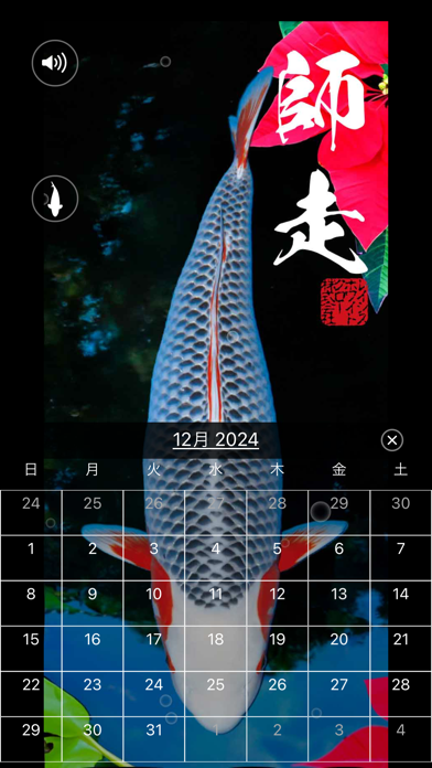 錦鯉四季暦　～にしきごいしきごよみ～ Screenshot