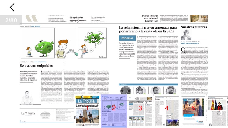 Tribuna de Guadalajara