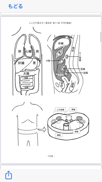 解剖学NOTE 第11版のおすすめ画像6