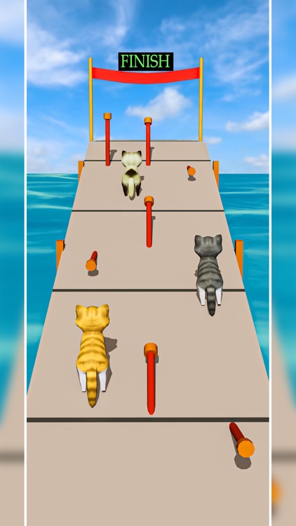 Cat Fun Race 3D Run Face Game