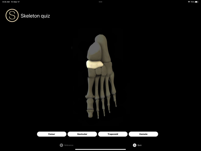 Skeleton Study Guide