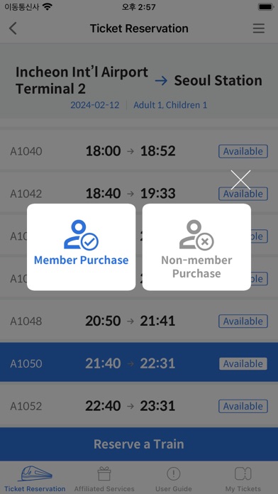 Airport Railroad Screenshot