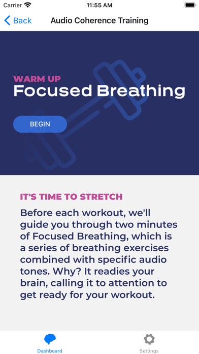 CerebroCore Screenshot