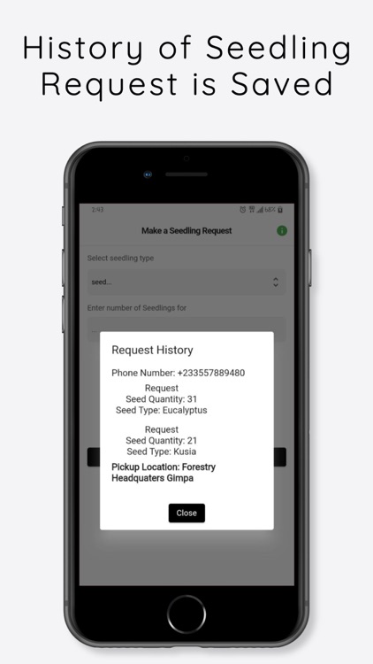 Green Ghana screenshot-7