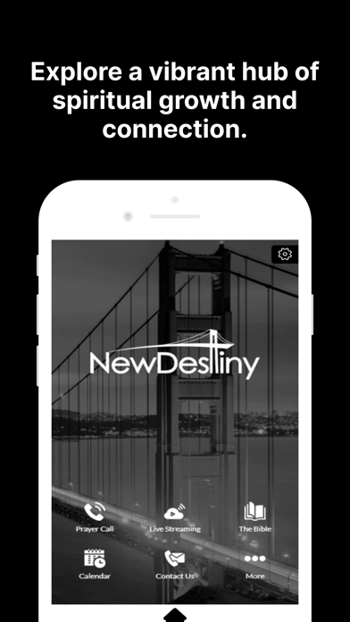 New Destiny Inc. Screenshot