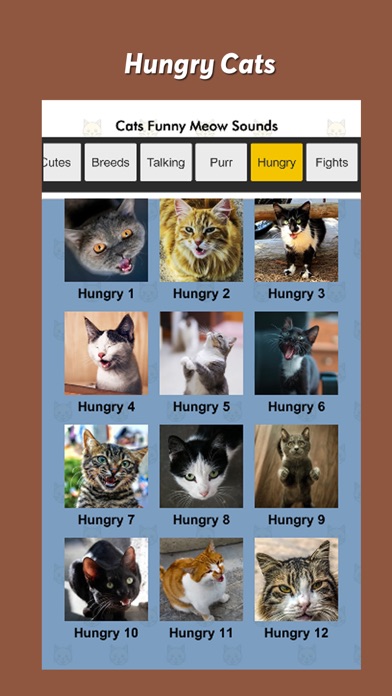 Cats Funny Meow Sounds Screenshot