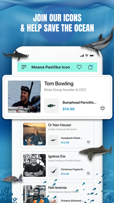 Moana Pasifika Screenshot