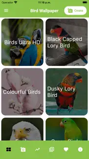birds live wallpaper - 4k iphone screenshot 1