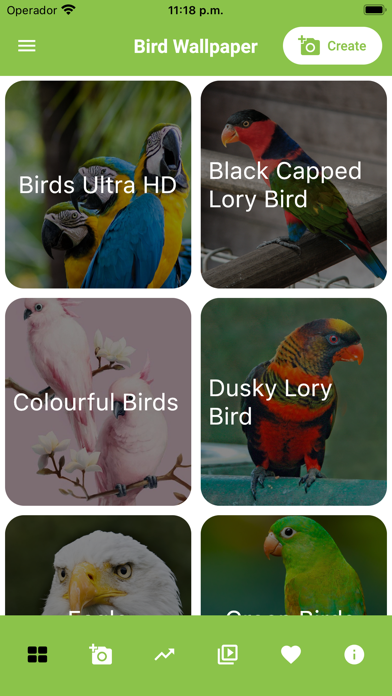 Birds live Wallpaper - 4k Screenshot