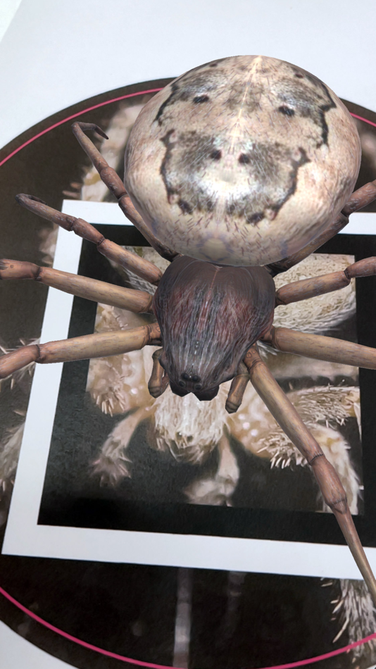 #1. Spiders Augmented Reality (iOS) 由: Australian Museum