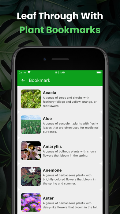 Plant Scanner - Care Guide Screenshot