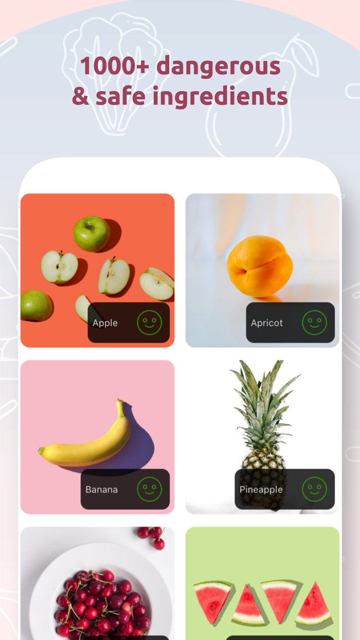 Pregnancy Diet Recipes Guide