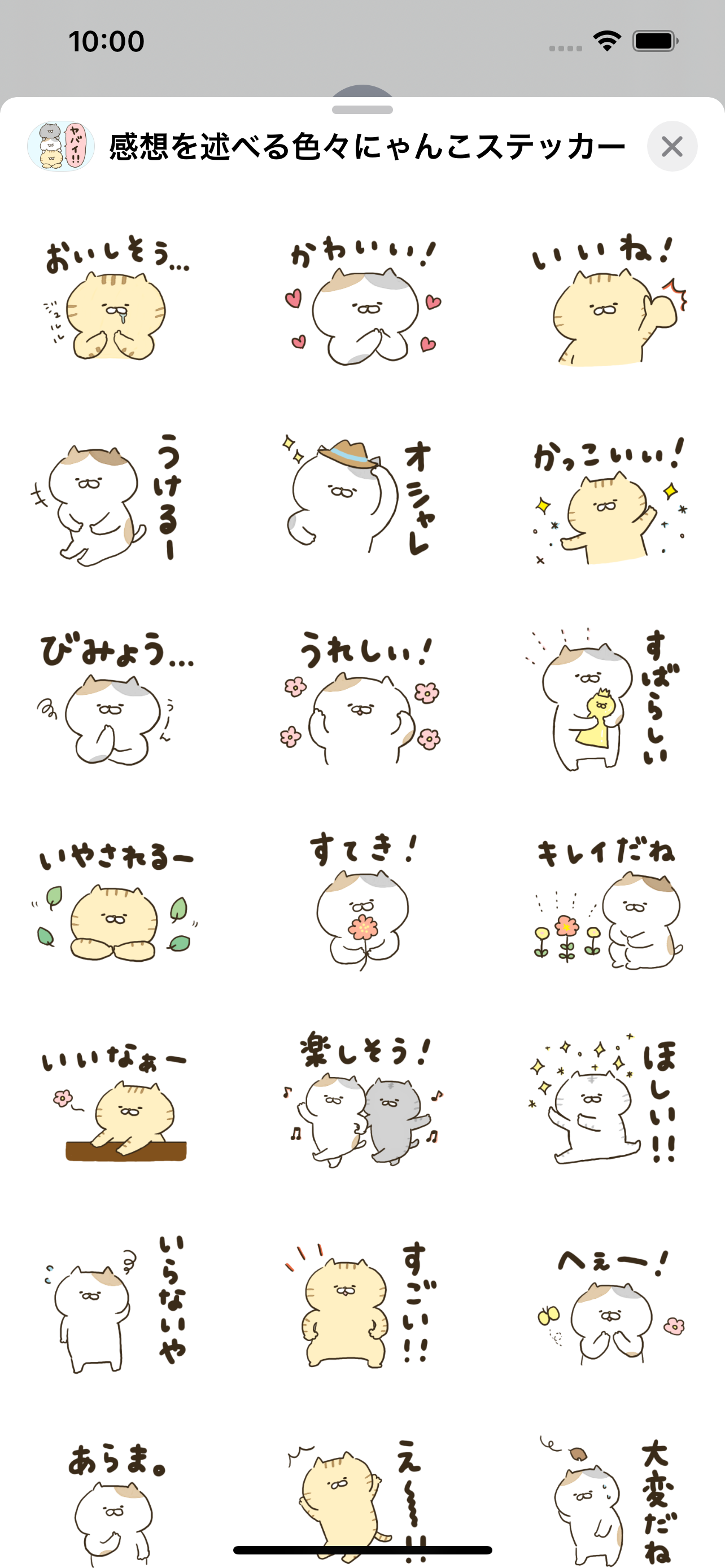 感想を述べる色々にゃんこステッカー