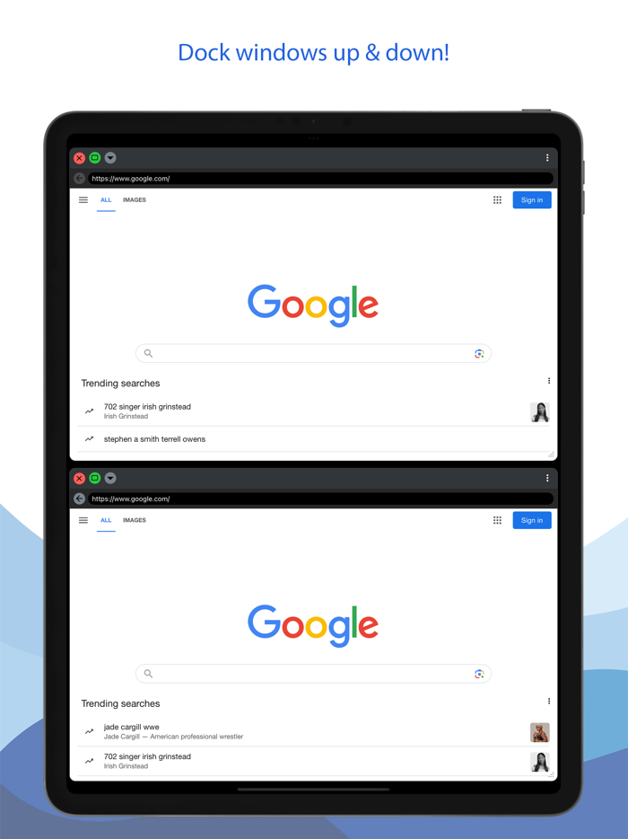 Multiwindows Browser