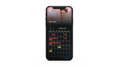BudiFit Screenshot