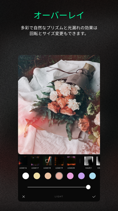 Afterlight Photo Editorのおすすめ画像8
