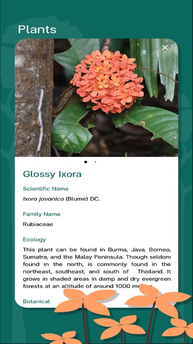 Klong Plakang Trail Screenshot