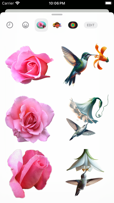 Hummingbird Flowers Screenshot