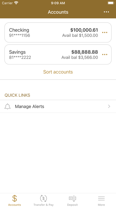 FISB Screenshot