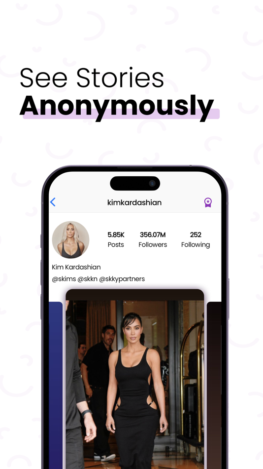 #1. Anonym Stories for Insta (iOS) 由: simpliers