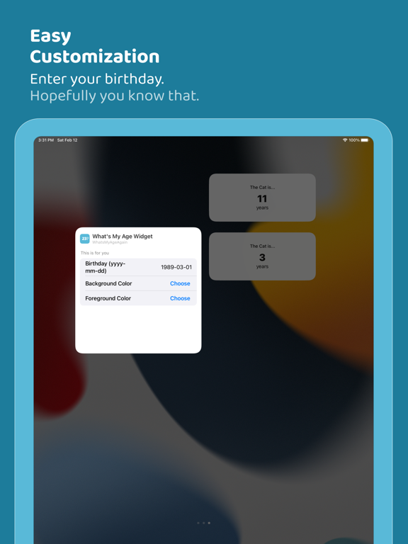 What's My Age Again Widgets iPad screenshot 2 - Utilities app