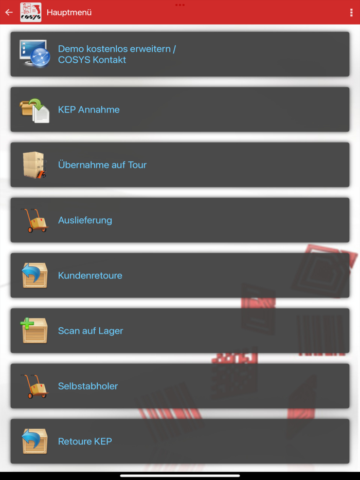 COSYS Pakettransport