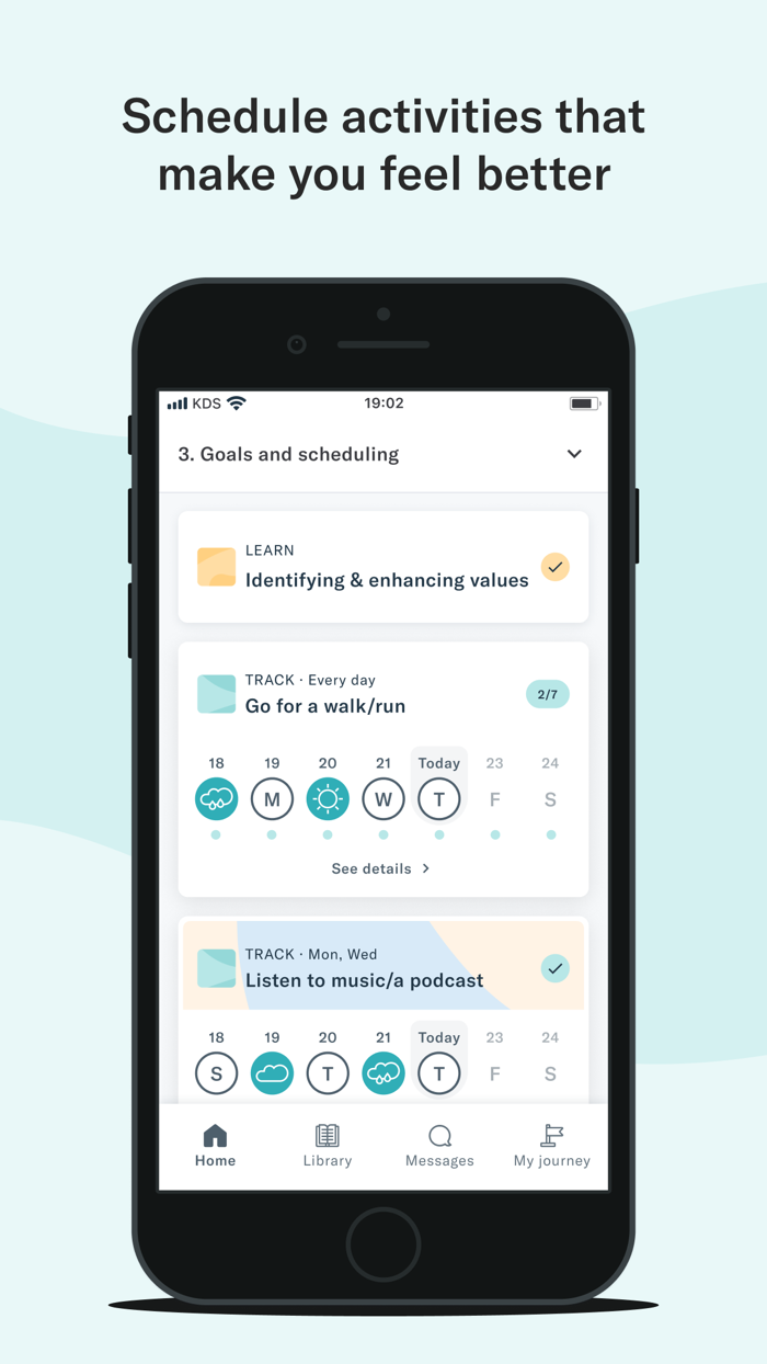 Koa Mindset Depression